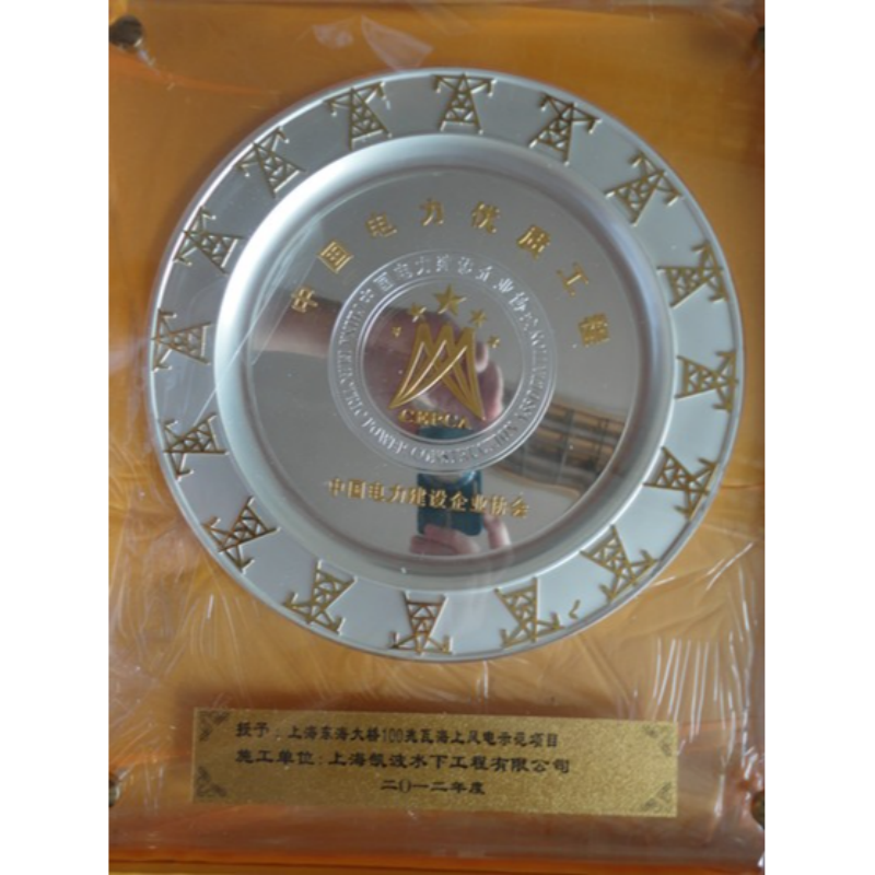 2012年东海大桥100兆瓦海上风电示范项目中国电力优质工程奖杯