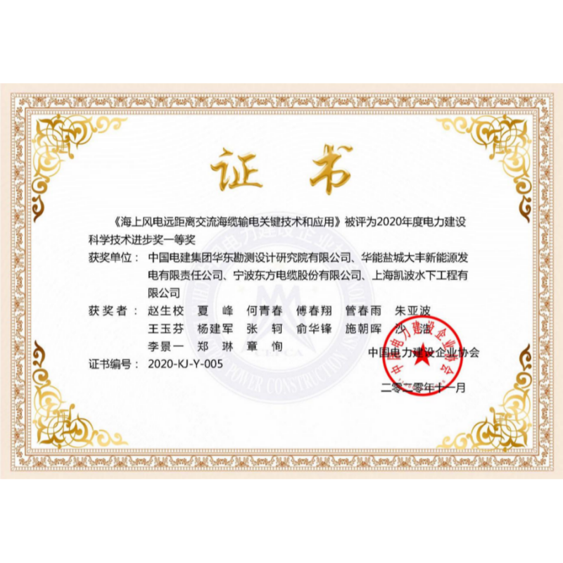 2020年电力建设科学技术进步一等奖