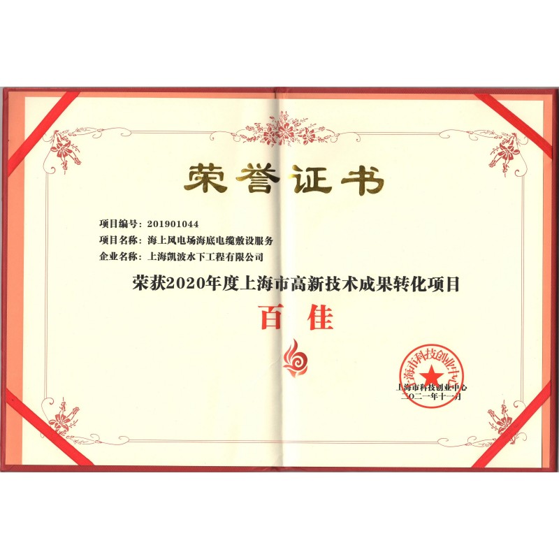 2020年度上海市高新技术成果转化项目百佳荣誉证书