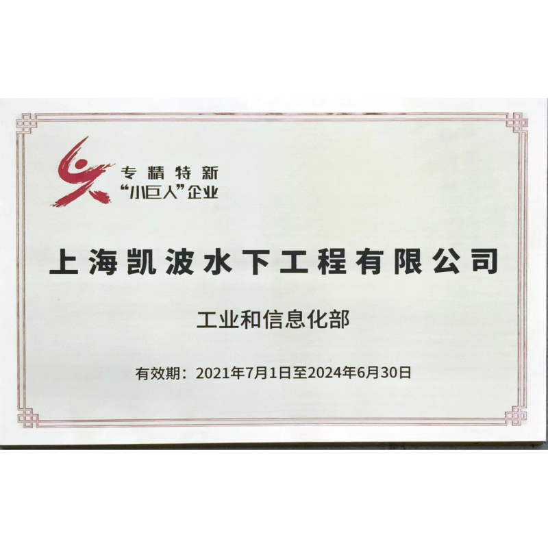 专精特新小巨人-工业和信息化部