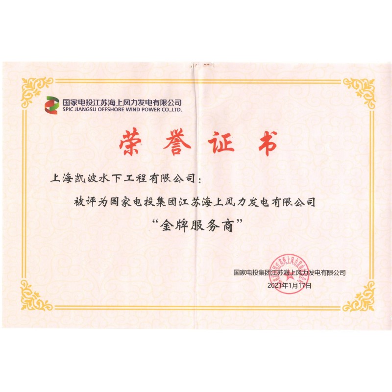 2021年金牌服务商（国家电投集团江苏海上风力发电有限公司）