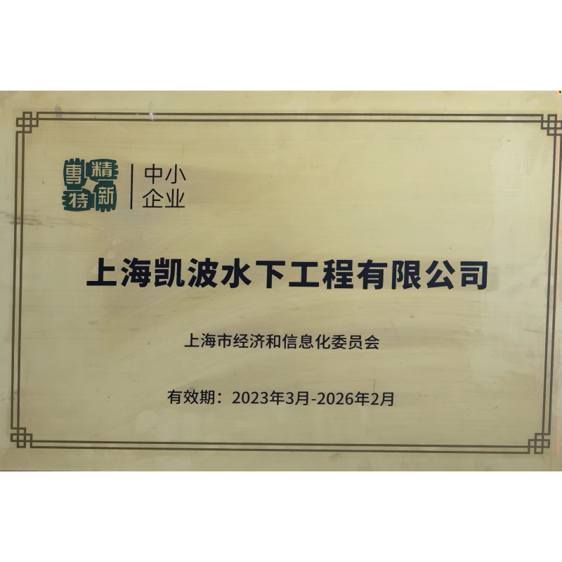 专精特新中小企业